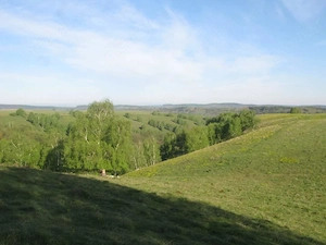 Teren de vis în mijlocul naturii, la 30 km de Sibiu - imagine 3