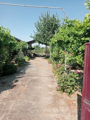 casa checea-30 km de Timisoara - imagine 5