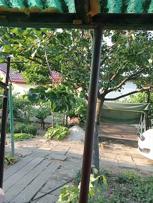 casa checea-30 km de Timisoara - imagine 4