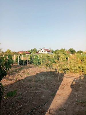 casa checea-30 km de Timisoara - imagine 2
