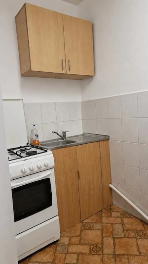 Garsoniera de 22 mp mobilata - Zona Aradului Timisoara - imagine 4