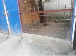Foster Pensiune canina Cazare pentru caini PetSitter Hotel Giurgiu - imagine 4