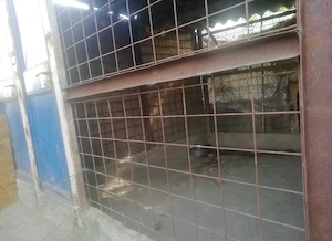 Foster Pensiune canina Cazare pentru caini PetSitter Hotel Giurgiu - imagine 3