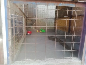 Foster Pensiune canina Cazare pentru caini PetSitter Hotel Giurgiu - imagine 5