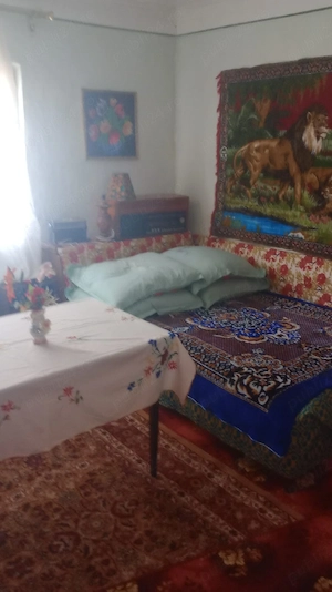 casa de vanzare in Blăjani  - imagine 4