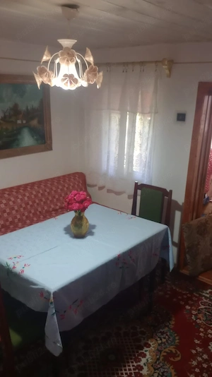 casa de vanzare in Blăjani  - imagine 2