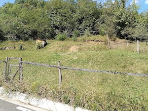 teren de vânzare 
