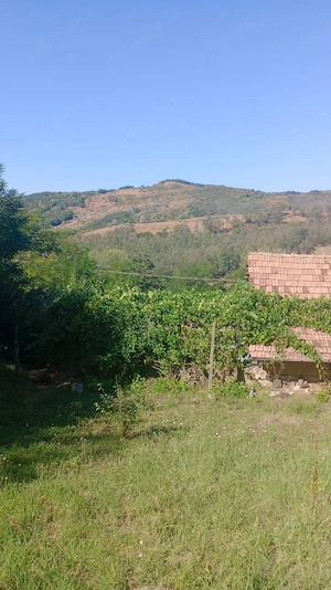 casa de vanzare in Blăjani  - imagine 7