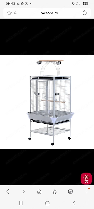  Vand Papagal jako (African grey) - imagine 3