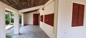 Casa cu vie, livadă și timp pentru tine - imagine 4