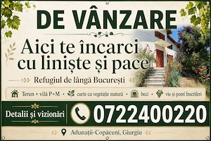 Casa cu vie, livadă și timp pentru tine - imagine 2
