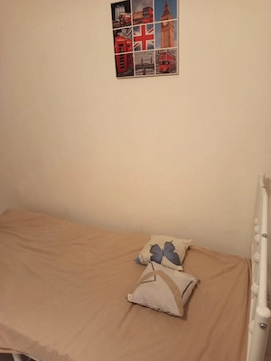 Drumul Taberei, Plaza,AFI,Metrou C. Brancusi, piata Ialomitei, proprietar - imagine 5