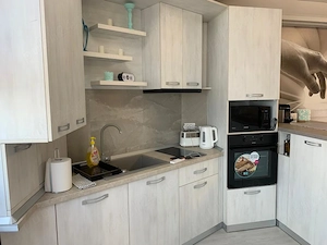 Apartament 2 camere in stefan building resort  - imagine 5