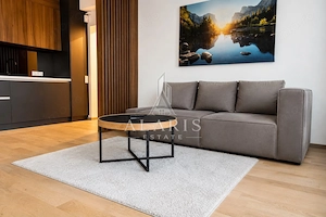 Apartament cu 2 camere, open space, zona Take Ionescu
