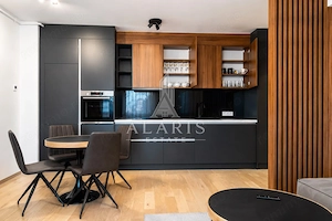 Apartament cu 2 camere, open space, zona Take Ionescu - imagine 3