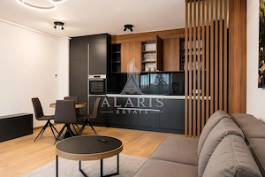 Apartament cu 2 camere, open space, zona Take Ionescu - imagine 2