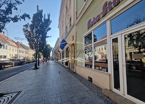 Spatiu birou 100 mp, strada Memorandumului - imagine 11