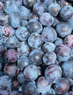 vand prune productie 2026