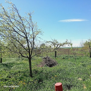 Casa de vanzare loc.Broscauti la 4 km de Dorohoi - imagine 2