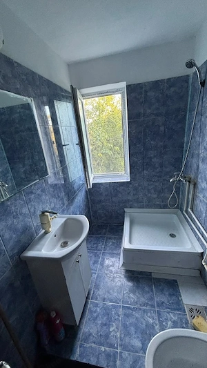 Camera de camin, 25 mp, zona Valea Rosie - imagine 4