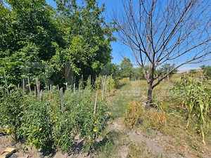 Casă 2 camere, 65 mp, 847 mp teren, zona Unirea  - imagine 14