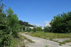 Proprietar vand teren si hale industriale- 51.550 mp • Deta - imagine 5