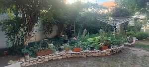 Studiou deosebit pentru inchiriere