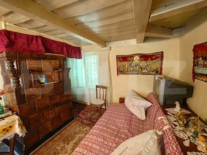 Casă bătrânească cu bucătărie de vară, 100 mp, teren 3.000 mp, zona Raducaneni - imagine 11