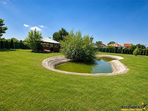 Casa individuala+cladire multifunctionala, 3.300mp teren,foisor,iaz,potential business, Tarnaveni - imagine 4
