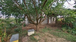 Casa noua cu 3 camere in Siria, 85 mp utili, teren 1.530 mp, livada si vie - imagine 2