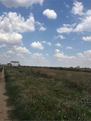 Urgent - Proprietar 420 mp - Mega Park (Berceni-Vidra) - 26.800  - imagine 3