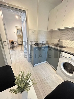 Apartament 2 camere de închiriat,Take Ionescu/Facultatea de Medicină - imagine 6