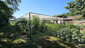 Munteni-Buzau, Casă 4 camere, 80 mp cu teren de 1.912 mp - imagine 12