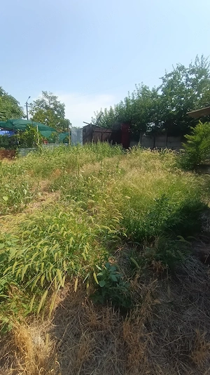 Casa P+1, 186 mp utili, 339 mp teren, zona Brestei - imagine 11