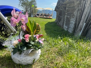 Vanzare Afacere la Cheie pe Transapuseana
