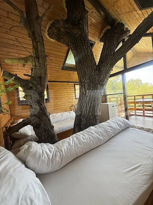Proprietate cu piscină/ciubăr, 53 mp, zona Pietrari - imagine 10