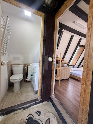 Proprietate cu piscină/ciubăr, 53 mp, zona Pietrari - imagine 19