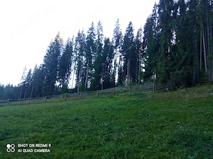 De Vânzare teren in Cârlibaba, judetul Suceava