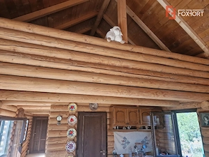 Casa de vacanta in Icloda, langa Balta de pescuit Sportiv Icloda family  - imagine 15