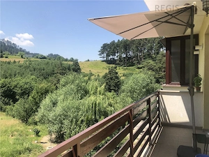 Apartament in natura in zona nepoluata,  Coasta Vie Sacele Cernatu - imagine 13