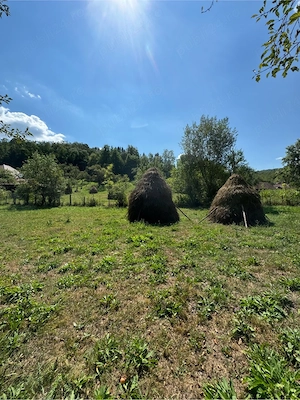 Teren de vanzare Salciua de Jos (Dumesti), jud. Alba - imagine 2