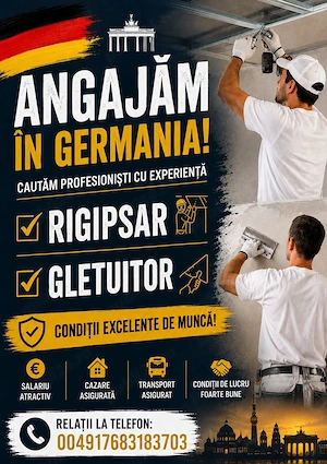Munca Germania Experienta Necesara