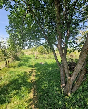 Casă de vânzare la 10 km de Beclean – teren 1.600 mp - imagine 5