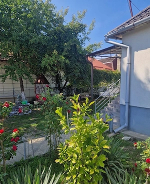 Casă de vânzare la 10 km de Beclean – teren 1.600 mp - imagine 4