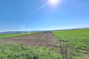 Teren extravilan, 8700 mp, pretabil agricultură sau investiție - Bod - imagine 6