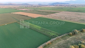 Teren extravilan, 8700 mp, pretabil agricultură sau investiție - Bod - imagine 4