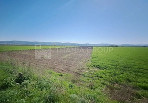 Teren extravilan, 8700 mp, pretabil agricultură sau investiție - Bod - imagine 8