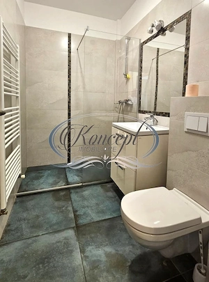Apartament cu gradina si 2 parcari, in Europa - imagine 9