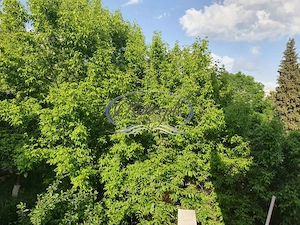 Apartament cu garaj in Cartierul Grigorescu - imagine 8