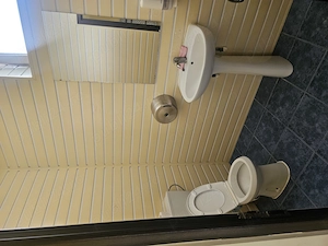 Inchiriere spatiu comercial Slobozia  - imagine 6